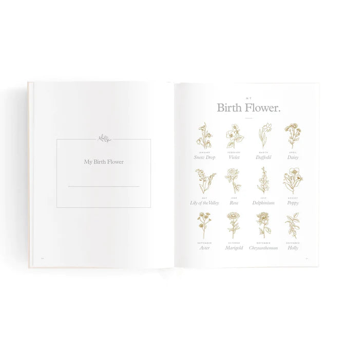 Fox and Fallow Mini Baby Book Boxed - Oatmeal